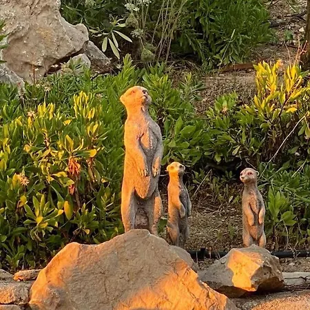 Casa Othello - With Private Pool וילה בניטאצ'ל